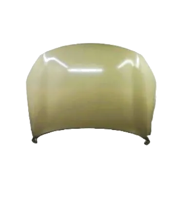 عکس درب موتور ریسپکت (آستردار دوبل)